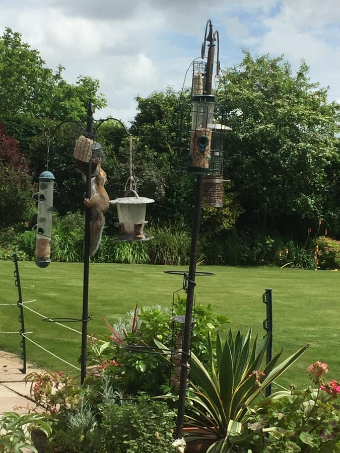 Glenfield Castle Farmhouse Bed And Breakfast מראה חיצוני תמונה
